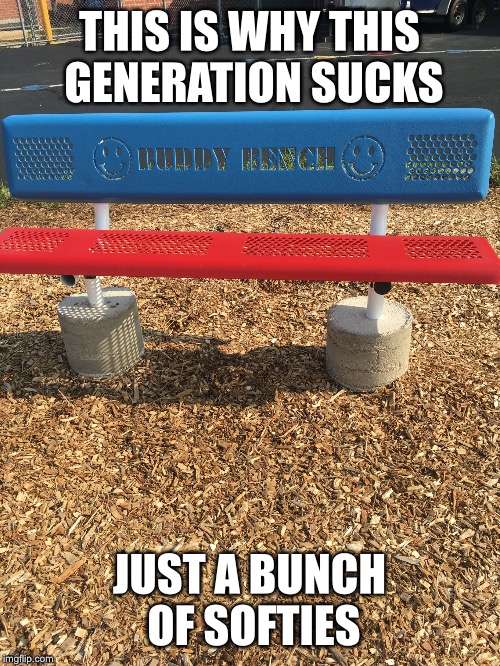 THIS IS WHY THIS GENERATION SUCKS; JUST A BUNCH OF SOFTIES | image tagged in buddy bench  stuipid | made w/ Imgflip meme maker