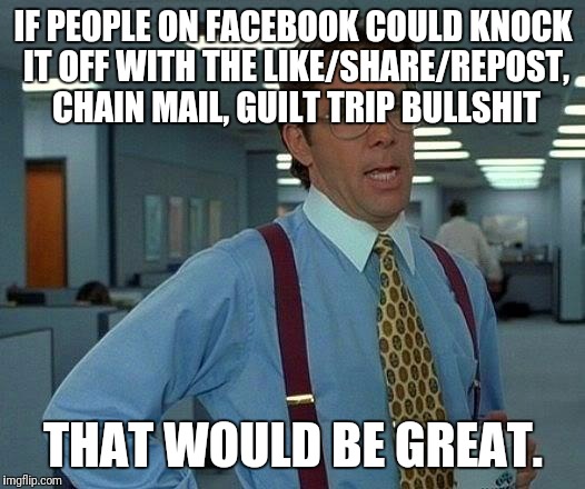That Would Be Great | IF PEOPLE ON FACEBOOK COULD KNOCK IT OFF WITH THE LIKE/SHARE/REPOST, CHAIN MAIL, GUILT TRIP BULLSHIT; THAT WOULD BE GREAT. | image tagged in memes,that would be great | made w/ Imgflip meme maker