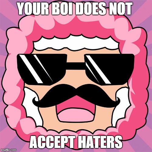 YOUR BOI DOES NOT; ACCEPT HATERS | image tagged in pink sheep | made w/ Imgflip meme maker