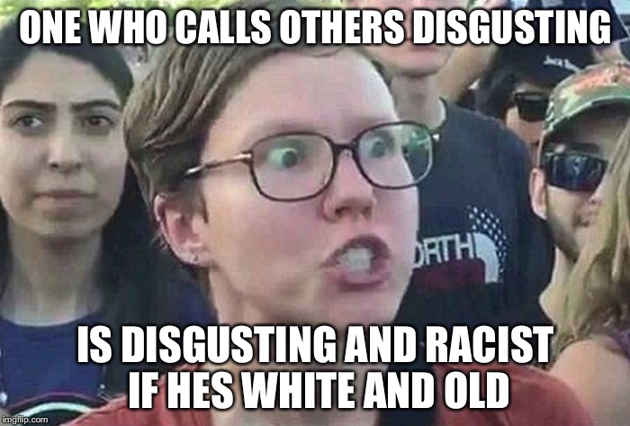 ONE WHO CALLS OTHERS DISGUSTING IS DISGUSTING AND RACIST IF HES WHITE AND OLD | made w/ Imgflip meme maker