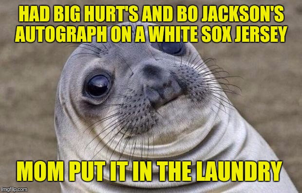 Awkward Moment Sealion Meme | HAD BIG HURT'S AND BO JACKSON'S AUTOGRAPH ON A WHITE SOX JERSEY MOM PUT IT IN THE LAUNDRY | image tagged in memes,awkward moment sealion | made w/ Imgflip meme maker