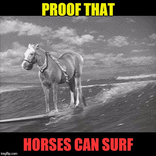 PROOF THAT HORSES CAN SURF | made w/ Imgflip meme maker