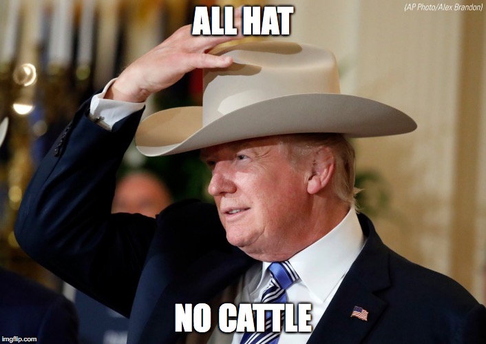 cattle | ALL HAT NO CATTLE | image tagged in funny memes,donald trump | made w/ Imgflip meme maker