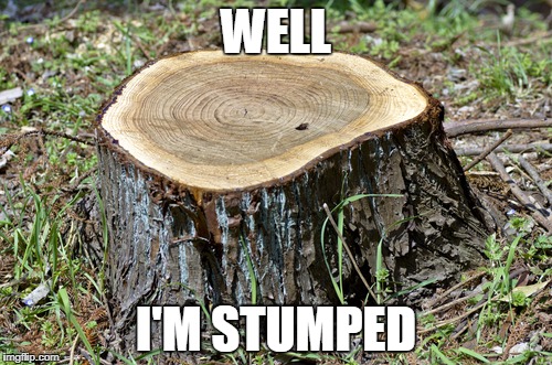 Stumped | WELL; I'M STUMPED | image tagged in stumped,stump | made w/ Imgflip meme maker