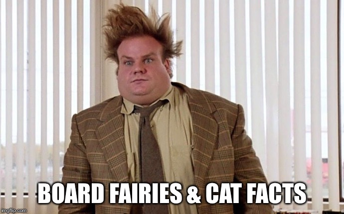 BOARD FAIRIES & CAT FACTS | made w/ Imgflip meme maker