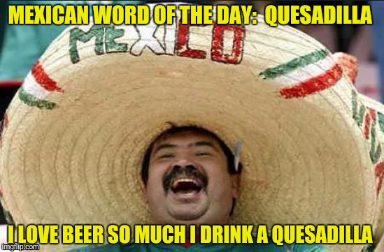 MEXICAN WORD OF THE DAY:  QUESADILLA I LOVE BEER SO MUCH I DRINK A QUESADILLA | made w/ Imgflip meme maker