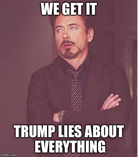 Face You Make Robert Downey Jr Meme | WE GET IT; TRUMP LIES ABOUT EVERYTHING | image tagged in memes,face you make robert downey jr | made w/ Imgflip meme maker