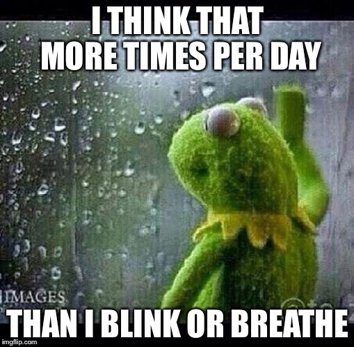 I THINK THAT MORE TIMES PER DAY THAN I BLINK OR BREATHE | made w/ Imgflip meme maker