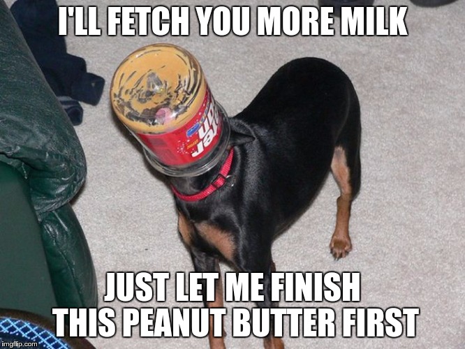 I'LL FETCH YOU MORE MILK JUST LET ME FINISH THIS PEANUT BUTTER FIRST | made w/ Imgflip meme maker