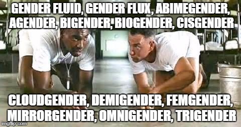 bubba gump shrimp | GENDER FLUID, GENDER FLUX, ABIMEGENDER, AGENDER, BIGENDER, BIOGENDER, CISGENDER; CLOUDGENDER, DEMIGENDER, FEMGENDER, MIRRORGENDER, OMNIGENDER, TRIGENDER | image tagged in bubba gump shrimp | made w/ Imgflip meme maker