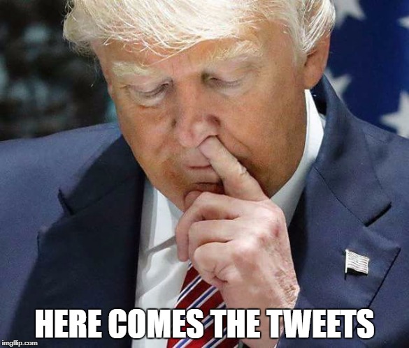 tweeter in chief | HERE COMES THE TWEETS | image tagged in trump,trumpanzee,fuck donald trump,fucktrump | made w/ Imgflip meme maker