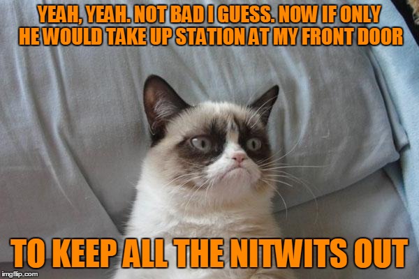 YEAH, YEAH. NOT BAD I GUESS. NOW IF ONLY HE WOULD TAKE UP STATION AT MY FRONT DOOR TO KEEP ALL THE NITWITS OUT | made w/ Imgflip meme maker