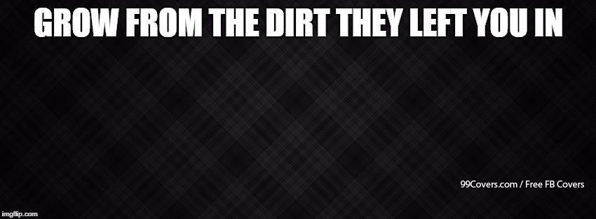 Blank Facebook Cover Photo | GROW FROM THE DIRT THEY LEFT YOU IN | image tagged in blank facebook cover photo | made w/ Imgflip meme maker