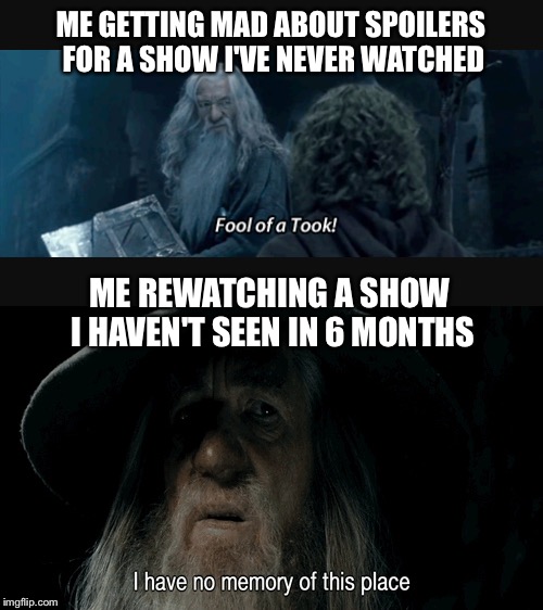 Spoiler Gandalf | ME GETTING MAD ABOUT SPOILERS FOR A SHOW I'VE NEVER WATCHED; ME REWATCHING A SHOW I HAVEN'T SEEN IN 6 MONTHS | image tagged in spoilers,no spoilers,gandalf,angry gandalf,confused gandalf | made w/ Imgflip meme maker