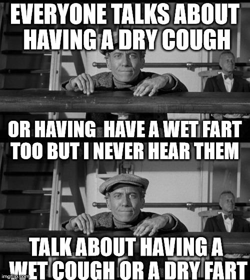 EVERYONE TALKS ABOUT HAVING A DRY COUGH TALK ABOUT HAVING A WET COUGH OR A DRY FART OR HAVING  HAVE A WET FART TOO BUT I NEVER HEAR THEM | made w/ Imgflip meme maker
