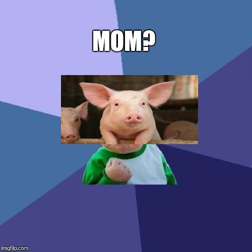 Success Kid Meme | MOM? | image tagged in memes,success kid | made w/ Imgflip meme maker