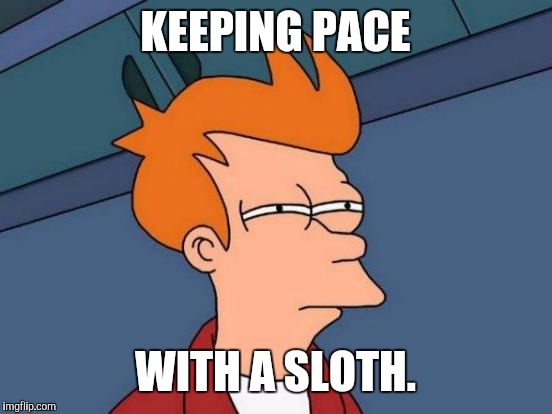 Futurama Fry Meme | KEEPING PACE WITH A SLOTH. | image tagged in memes,futurama fry | made w/ Imgflip meme maker