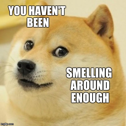 Doge Meme | YOU HAVEN'T BEEN SMELLING AROUND ENOUGH | image tagged in memes,doge | made w/ Imgflip meme maker