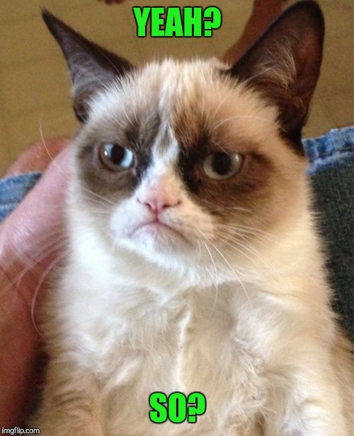 Grumpy Cat Meme | YEAH? SO? | image tagged in memes,grumpy cat | made w/ Imgflip meme maker
