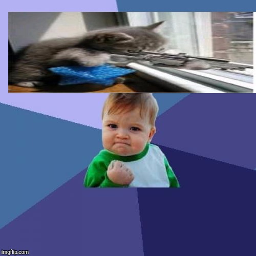 Success Kid Meme | image tagged in memes,success kid | made w/ Imgflip meme maker