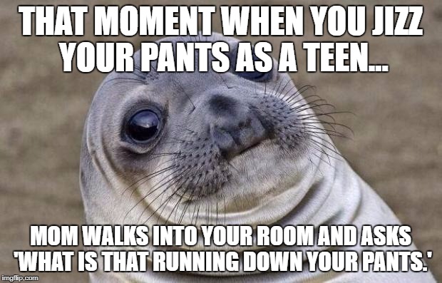 Awkward Moment Sealion Meme | THAT MOMENT WHEN YOU JIZZ YOUR PANTS AS A TEEN... MOM WALKS INTO YOUR ROOM AND ASKS 'WHAT IS THAT RUNNING DOWN YOUR PANTS.' | image tagged in memes,awkward moment sealion | made w/ Imgflip meme maker