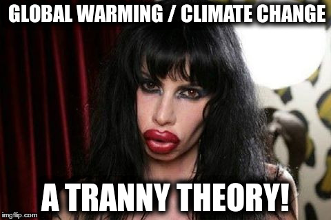 climate change tranny | GLOBAL WARMING / CLIMATE CHANGE; A TRANNY THEORY! | image tagged in climate change,climate hoax,tranny theory,al gore con job | made w/ Imgflip meme maker