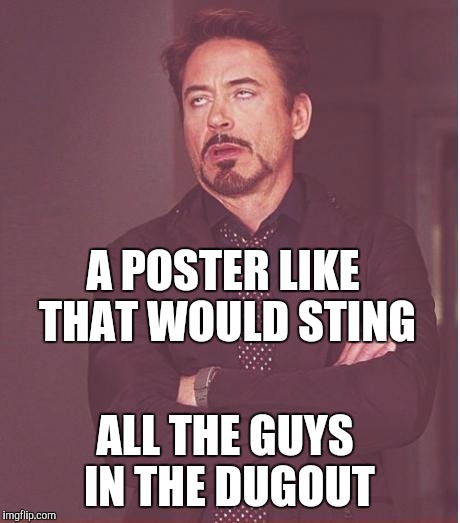 Face You Make Robert Downey Jr Meme | A POSTER LIKE THAT WOULD STING ALL THE GUYS IN THE DUGOUT | image tagged in memes,face you make robert downey jr | made w/ Imgflip meme maker