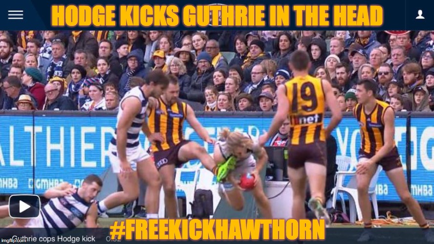 Hodge Kicks Guthrie in the Head - #FreeKickHawthorn | HODGE KICKS GUTHRIE IN THE HEAD; #FREEKICKHAWTHORN | image tagged in afl,geelong cats | made w/ Imgflip meme maker