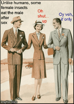Oy....if only that we're true | image tagged in marriage,funny,funny memes,lol,feminism,republicans | made w/ Imgflip images-to-gif maker