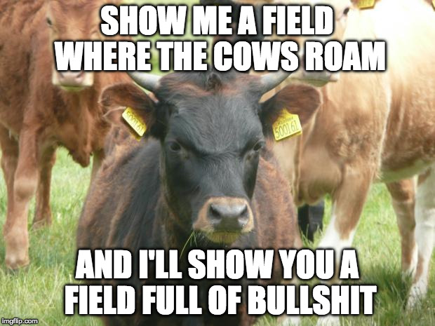Bullshit
 | SHOW ME A FIELD WHERE THE COWS ROAM; AND I'LL SHOW YOU A FIELD FULL OF BULLSHIT | made w/ Imgflip meme maker