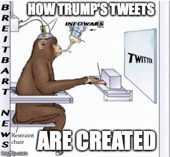 Trump's tweets | HOW TRUMP'S TWEETS; ARE CREATED | image tagged in trump,idiot,republican party,tweeter,monkey brain | made w/ Imgflip meme maker