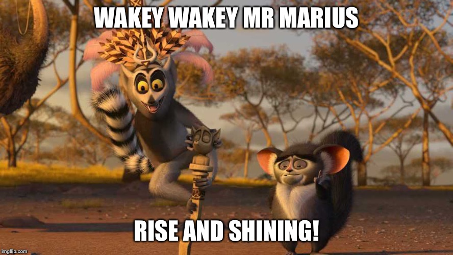 King Julian | WAKEY WAKEY MR MARIUS; RISE AND SHINING! | image tagged in king julian | made w/ Imgflip meme maker
