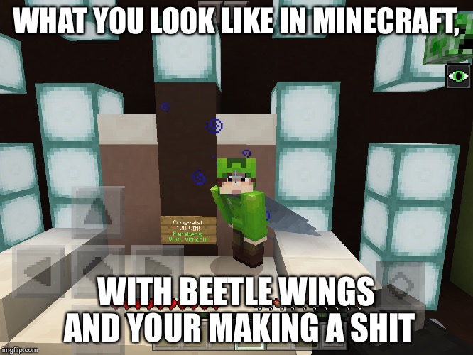 Minecraft memes | WHAT YOU LOOK LIKE IN MINECRAFT, WITH BEETLE WINGS AND YOUR MAKING A SHIT | image tagged in minecraft | made w/ Imgflip meme maker