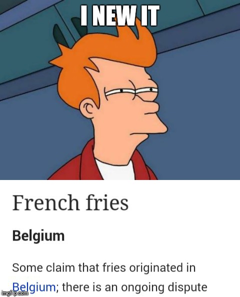 I new it | I NEW IT | image tagged in futurama fry,memes,french fries,belgium,new | made w/ Imgflip meme maker