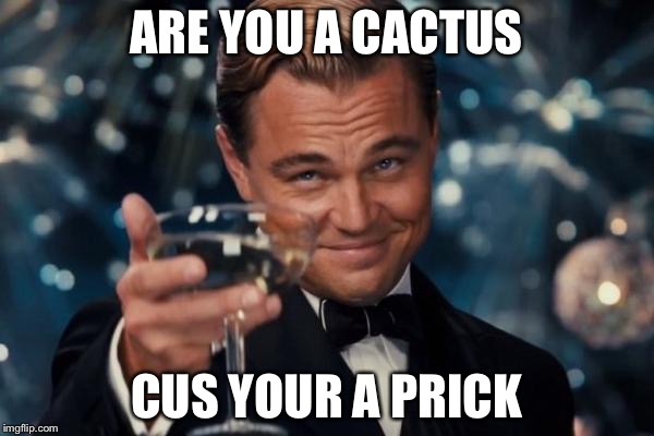 Leonardo Dicaprio Cheers Meme | ARE YOU A CACTUS; CUS YOUR A PRICK | image tagged in memes,leonardo dicaprio cheers | made w/ Imgflip meme maker