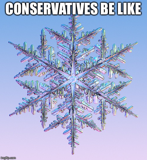 Conservitive Portrait  | CONSERVATIVES BE LIKE | image tagged in snowflake | made w/ Imgflip meme maker