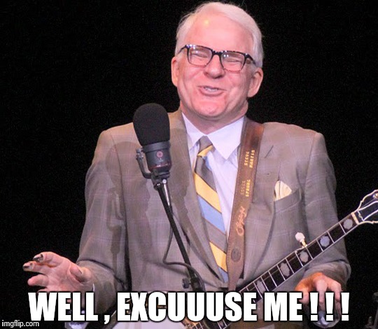 WELL , EXCUUUSE ME ! ! ! | image tagged in steve martin | made w/ Imgflip meme maker