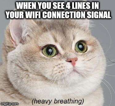 Heavy Breathing Cat | WHEN YOU SEE 4 LINES IN YOUR WIFI CONNECTION SIGNAL | image tagged in memes,heavy breathing cat | made w/ Imgflip meme maker