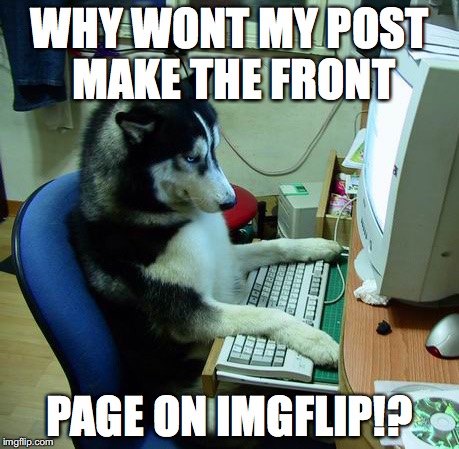 I Have No Idea What I Am Doing | WHY WONT MY POST MAKE THE FRONT; PAGE ON IMGFLIP!? | image tagged in memes,i have no idea what i am doing | made w/ Imgflip meme maker