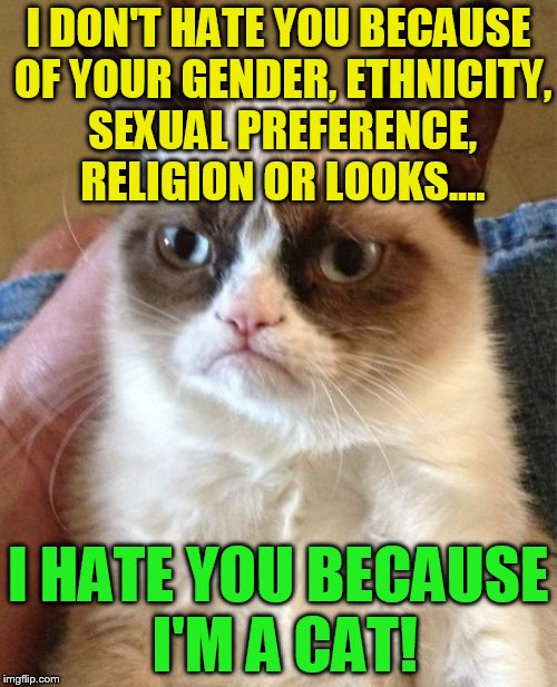 Grumpy Cat telling you how it is! | I DON'T HATE YOU BECAUSE OF YOUR GENDER, ETHNICITY, SEXUAL PREFERENCE, RELIGION OR LOOKS.... I HATE YOU BECAUSE I'M A CAT! | image tagged in memes,grumpy cat,hate,cats,gender,funny memes | made w/ Imgflip meme maker