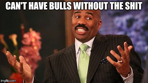 Steve Harvey Meme | CAN'T HAVE BULLS WITHOUT THE SHIT | image tagged in memes,steve harvey | made w/ Imgflip meme maker