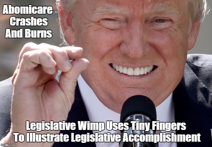 "Abomicare Crashes And Burns. Trump Uses Tiny Fingers To Illustrate Legislative Accomplishment" | Abomicare Crashes And Burns Legislative Wimp Uses Tiny Fingers To Illustrate Legislative Accomplishment | image tagged in despicable donald,deplorable donald,dishonorable donald,devious donald,despotic donald,mafia don | made w/ Imgflip meme maker