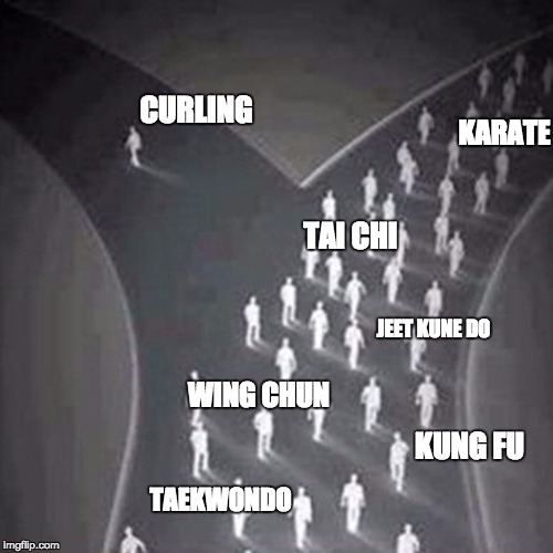 CURLING; KARATE; TAI CHI; JEET KUNE DO; WING CHUN; KUNG FU; TAEKWONDO | made w/ Imgflip meme maker