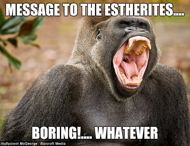 I'm not Yawning | MESSAGE TO THE ESTHERITES.... BORING!.... WHATEVER | image tagged in i'm not yawning | made w/ Imgflip meme maker