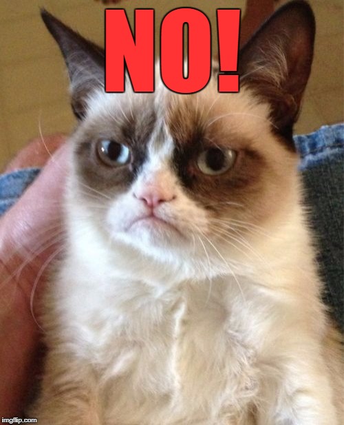 Grumpy Cat Meme | NO! | image tagged in memes,grumpy cat | made w/ Imgflip meme maker