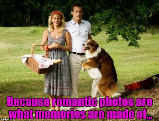 Photo bombed! | Because romantic photos are what memories are made of,,, | image tagged in funny picture,dog,romantic,memories | made w/ Imgflip meme maker