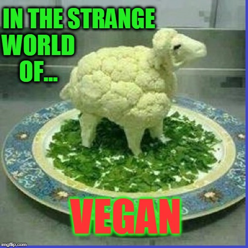 The Cauliflower Sheep | IN THE STRANGE; WORLD OF... VEGAN | image tagged in vince vance,vegetarians,cauliflower,vegan dishes,sheep,vegan | made w/ Imgflip meme maker