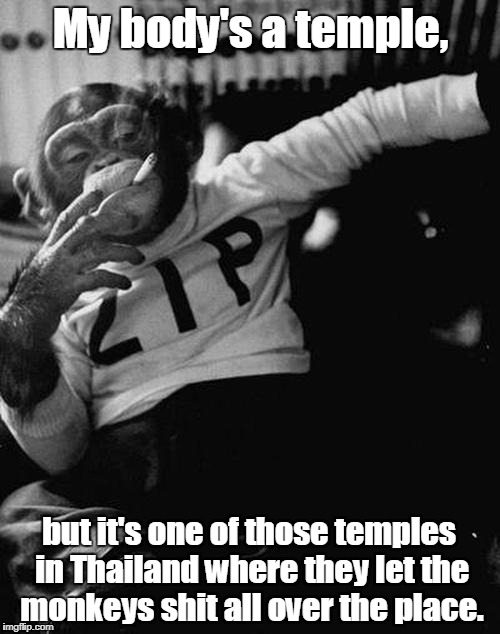 smoking monkey  | My body's a temple, but it's one of those temples in Thailand where they let the monkeys shit all over the place. | image tagged in smoking monkey | made w/ Imgflip meme maker