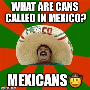 succesful mexican | WHAT ARE CANS CALLED IN MEXICO? MEXICANS🤠 | image tagged in succesful mexican | made w/ Imgflip meme maker