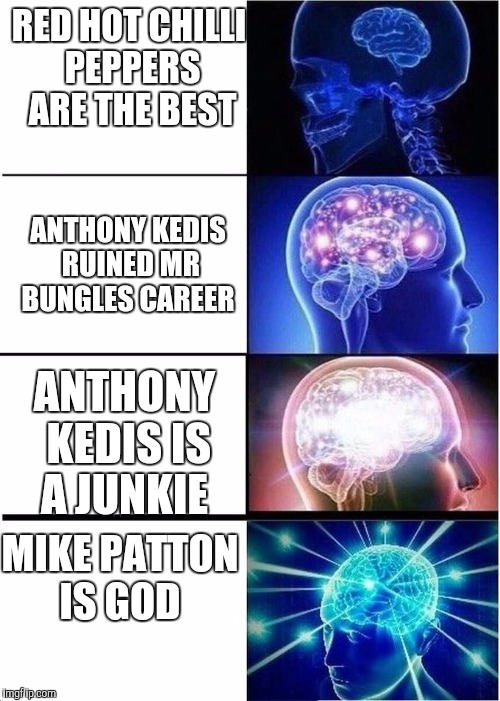 Expanding brain  | RED HOT CHILLI PEPPERS ARE THE BEST; ANTHONY KEDIS RUINED MR BUNGLES CAREER; ANTHONY KEDIS IS A JUNKIE; MIKE PATTON IS GOD | image tagged in expanding brain | made w/ Imgflip meme maker